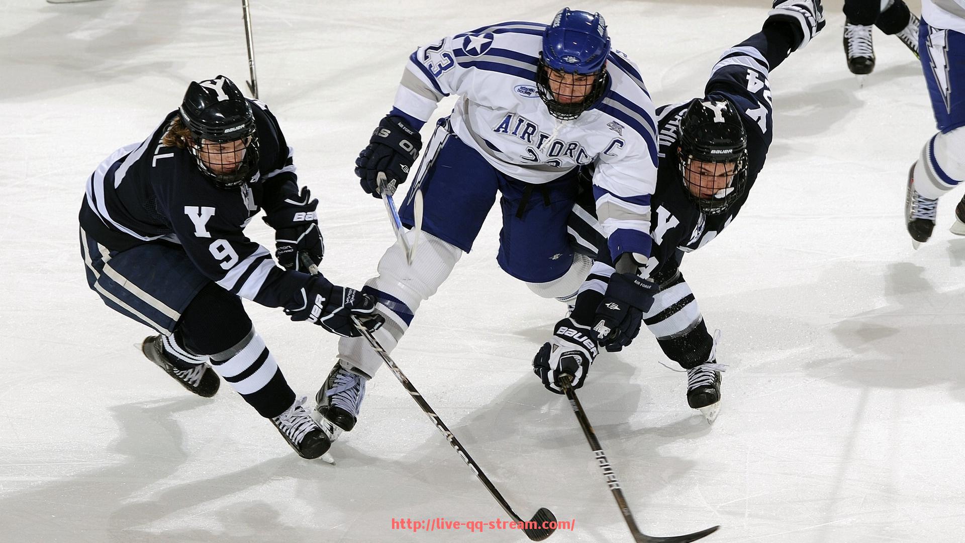 企鹅直播-2009年女排欧冠赛程及重要比赛总结