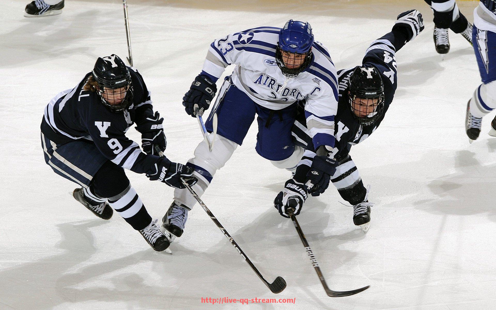 企鹅直播-德甲各球队绰号由来及背后故事深度挖掘